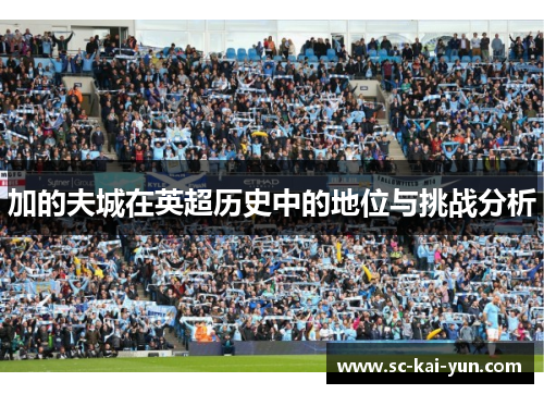 加的夫城在英超历史中的地位与挑战分析