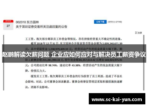 赵鹏解读欠薪问题 企业应如何应对与解决员工薪资争议