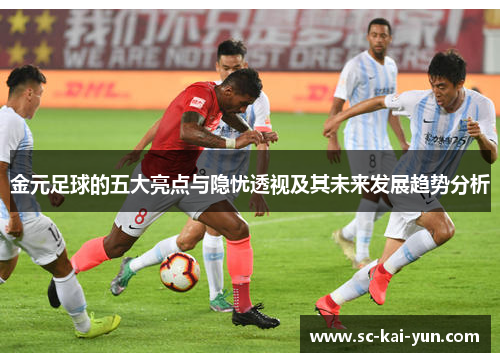 金元足球的五大亮点与隐忧透视及其未来发展趋势分析