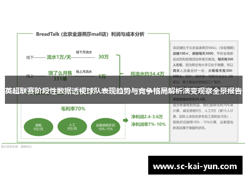 英超联赛阶段性数据透视球队表现趋势与竞争格局解析演变观察全景报告