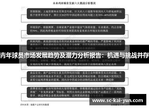青年球员市场发展趋势及潜力分析报告：机遇与挑战并存